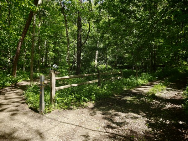 [美國行-05] 2026_0510 火雞跑步州立公園-步道四3059053