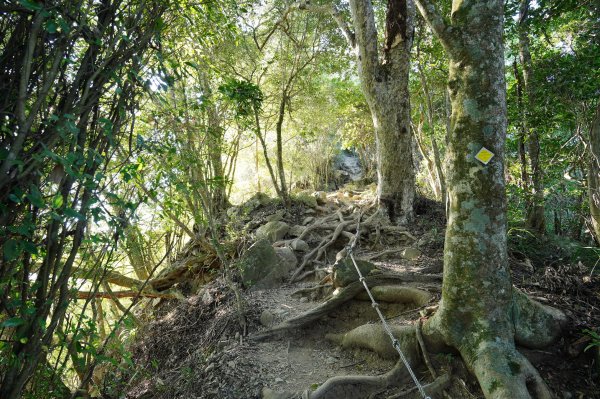 臺中 和平 白毛山、次郎山2670922