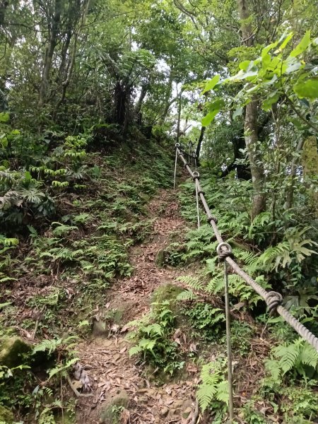 汐止區磐石嶺福興宮+581峰+雙十塔+耳空龜山+四分尾山+大尖山2805721