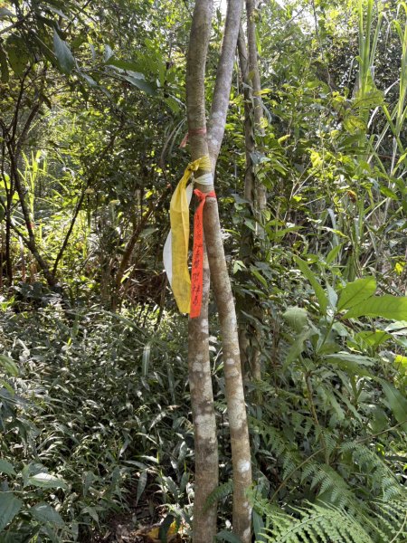 20251011台南刣牛湖山登山步道2915066