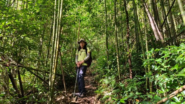 大混李棟山2816325