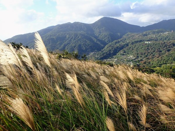 天母古道-翠峰瀑布-半嶺吊橋-橫嶺古道-半嶺水圳步道-前山公園-紗帽山-半嶺步道下天母, 走到天黑黑月亮高高掛!