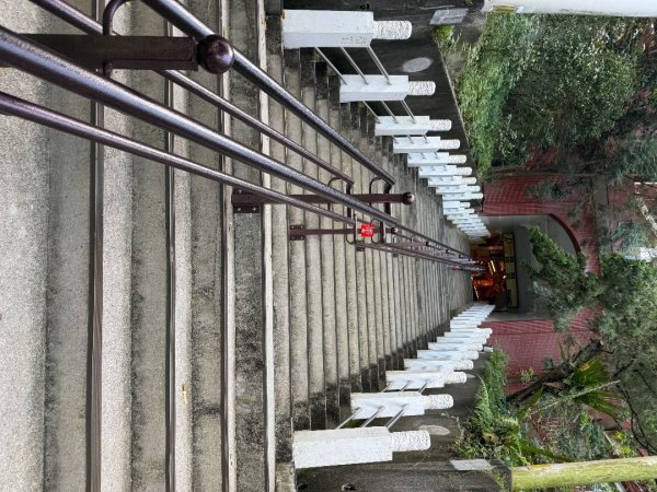 20251109 烘爐地登山步道(小百岳-南勢角山)2969098