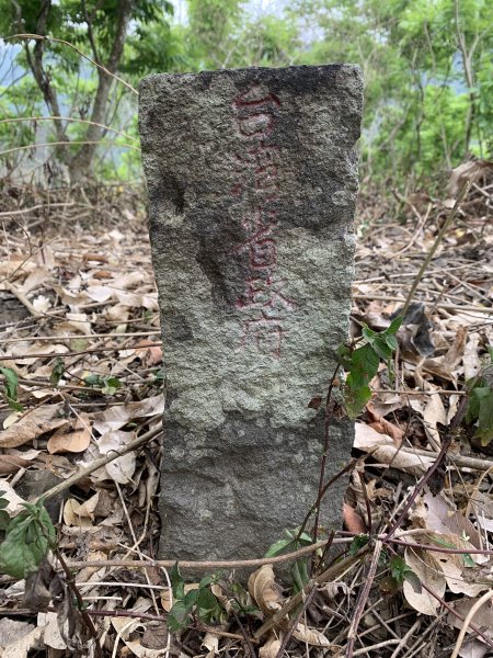 20250405屏東內南世山-西霧里乙山2757779