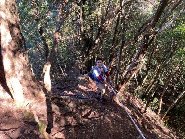 長壽山-醜崠山-鳶嘴山【既優雅又狂野的另類選擇】2673965