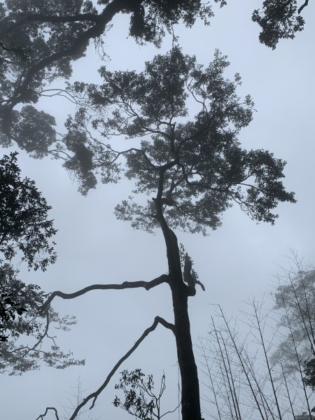 20251220嘉義凸龜山-芙蓉山-天福山2973852