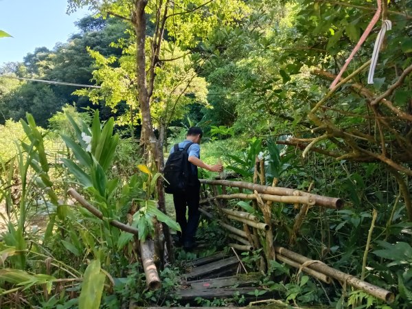 雙溪區內盤山坑古道+石硿子越嶺古道+盤山坑古道+過火坪古道O型2914354