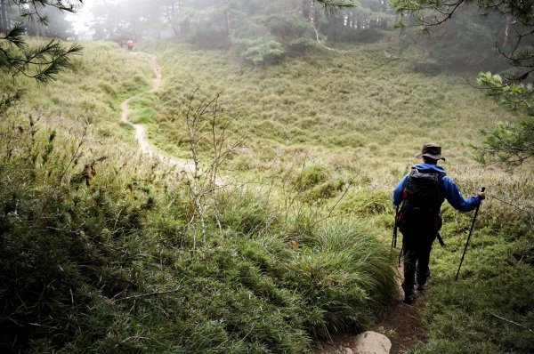 帝王之座-南湖圈谷｜審馬陣山＋南湖北山＋雲稜/南湖圈谷山屋2884842