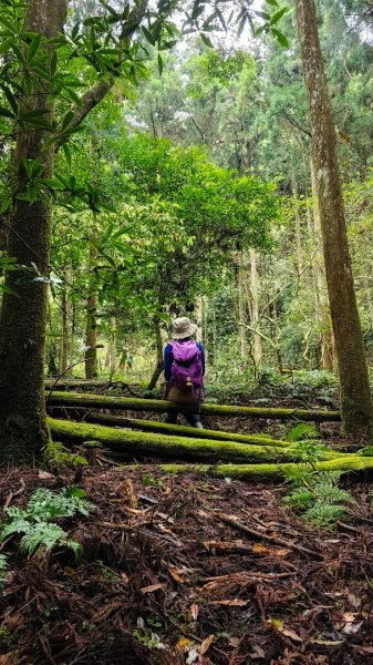 112.04.08 油羅山2123573