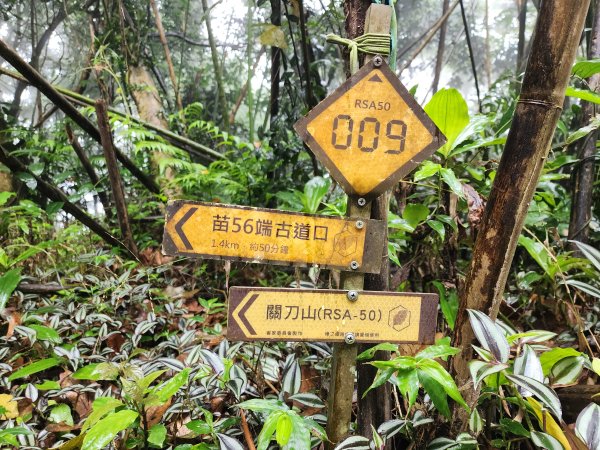 小百岳No.36⛰關刀山3050466