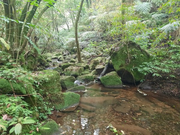 20230423 台北大縱走第四段逆行－風櫃嘴至捷運大湖公園2124959