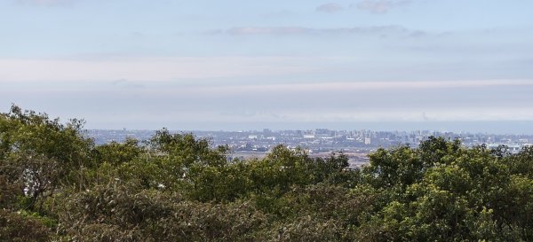 2026/01/25-五酒桶山、山鼻山步道2988102