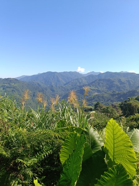 苗栗馬拉邦山2983711