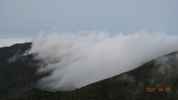 0405陽明山再見雲瀑，今年以來最滿意的一次1335462