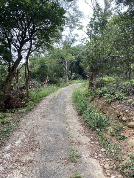 20250706-EP.07石光古道-2025森遊竹縣皮皮獅探險隊2851807