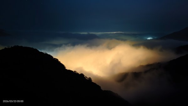 #大屯山 #日出 #雲海 #琉璃光 #橘咖啡 #吉野櫻 3/233020504