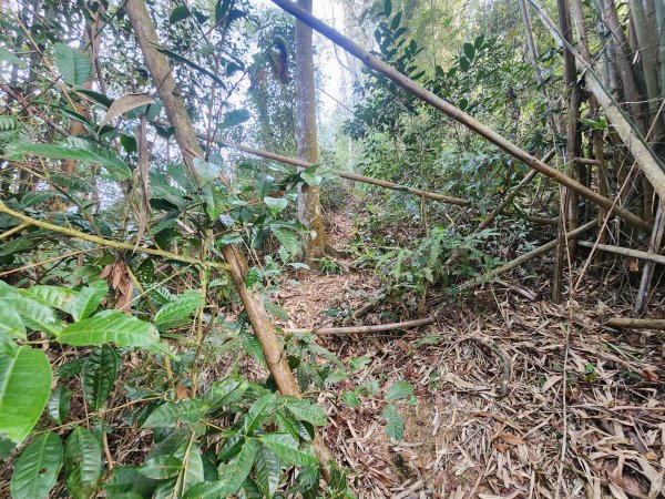 20260321貓頭山西關刀山能高瀑布O型3043788