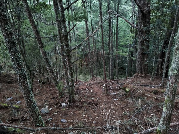 北一段(05/14)南湖南峰 2025_0906~132886491