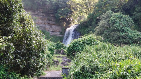 聖人瀑布➡️聖人崙➡️雙溪山+梅花五弄➡️帕米爾公園➡️聖人橋O型2797031