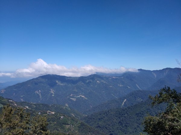 觀霧雲海山林之美2923616