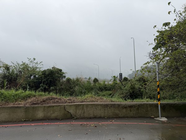 [樟之細路_第一大段RSA01] 2026_0329 三坑自然生態公園3026780