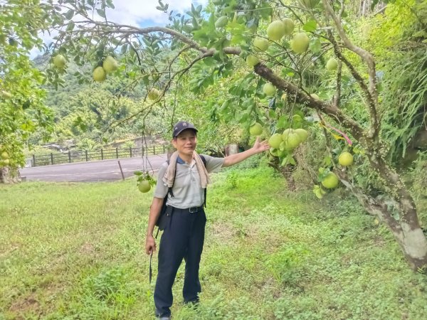 雙溪區盤山坑古道+過火坪古道O型