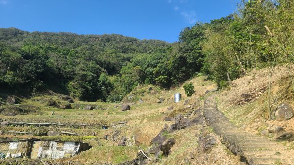 2025-0130溪和宮-大崎頭步道-鵝尾山-平溪步道-鵝尾山水田-42巷-溪山百年古圳-平菁步道2701870