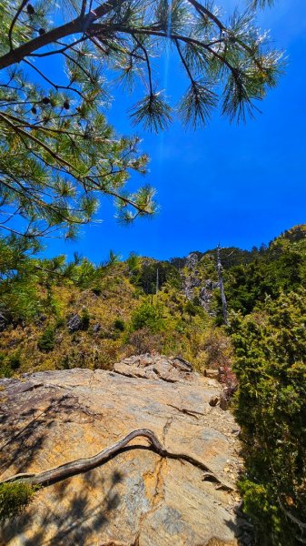 112.04.16 玉山前峰2123730