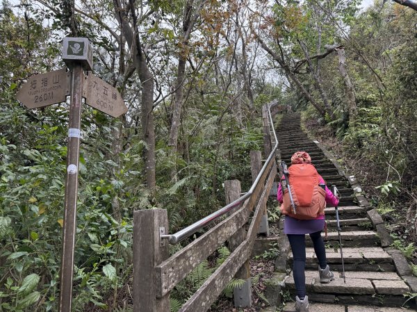 南港山.象山.四獸山-202503172770542