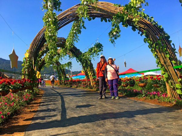 2019新社花海2019/11/12734658