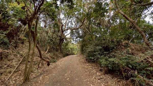 崁頭山步道3002470