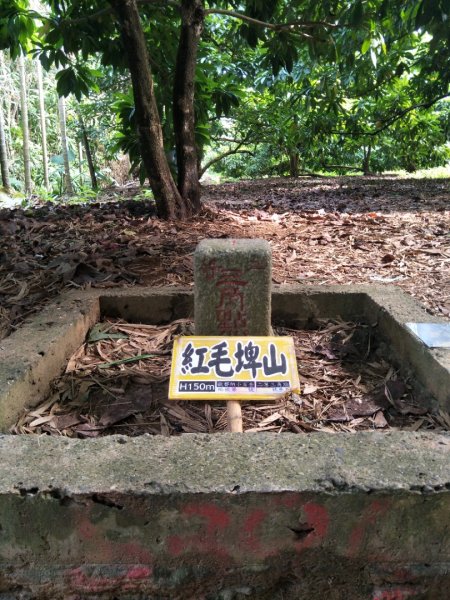 蘭潭後山步道、紅毛埤山1980517