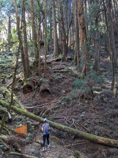 幾乎包場的兒玉山(自忠山)走東水山接特富野古道2548658