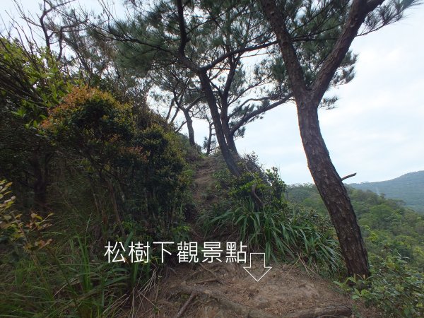 彩虹橋岩稜2733149