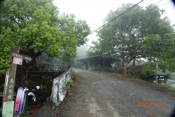 臺南 南化 王爺崙山1664007