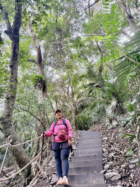 雪山坑步道悠遊順訪雪山坑山(再訪)  2025.12.32953741