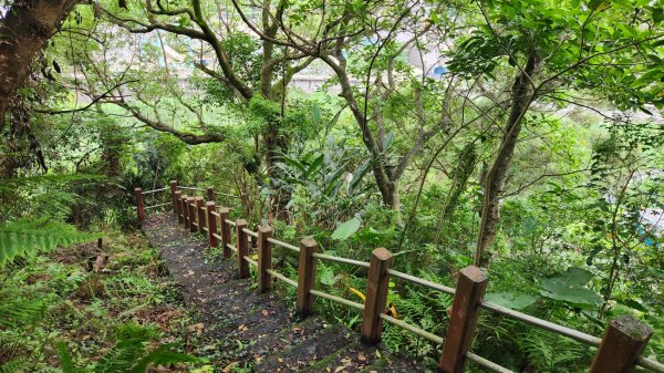 鵲子山，廻音谷瀑布，猴洞坑瀑布，望龍埤步道，飛龍步道，蘇澳砲台山2490700