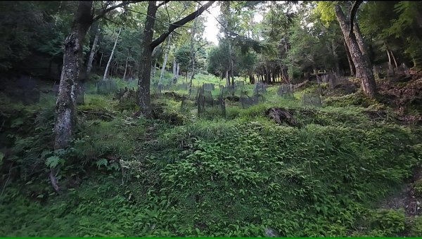 大霸群峰:大霸尖山、小霸尖山、伊澤山、加利山、耶巴奧山2849580