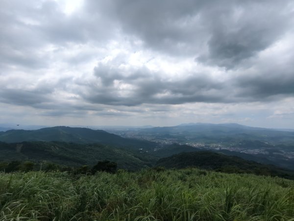 2026.07.18－姜子寮山3088003