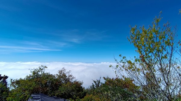 鳶嘴山美呆了~滿滿的雲海~1884278