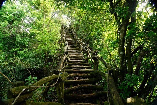 臺中 新社 頭嵙山、黑山、石苓湖山3047660