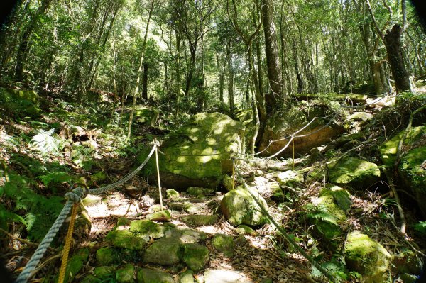 台中 和平 鳶嘴山2926909