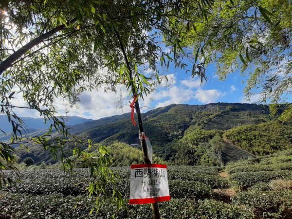 鹿谷小半天6峰連走1269696