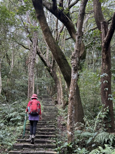大山背山+騎龍山O繞2025.12.282979478