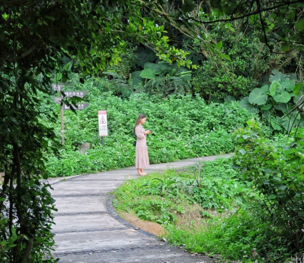 麟山鼻濱海步道 駱駝峰 富貴角公園1340677