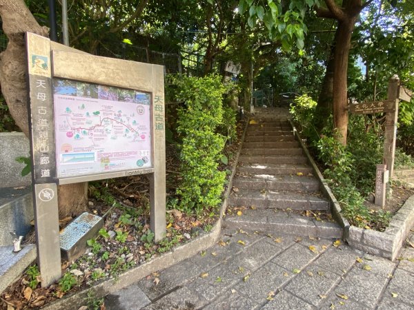 2024/09/16 天母古道（水管路） 紗帽山2884386