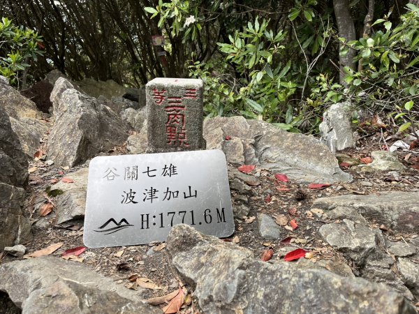 台中 和平 波津加山2761890