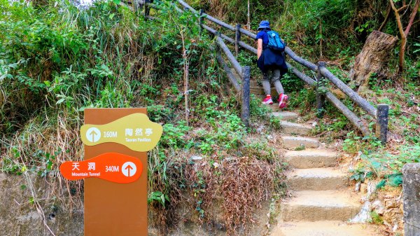 大社觀音山2954772