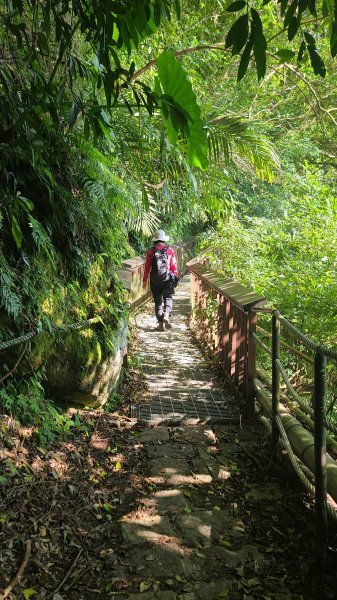 2025-0130溪和宮-大崎頭步道-鵝尾山-平溪步道-鵝尾山水田-42巷-溪山百年古圳-平菁步道2701963