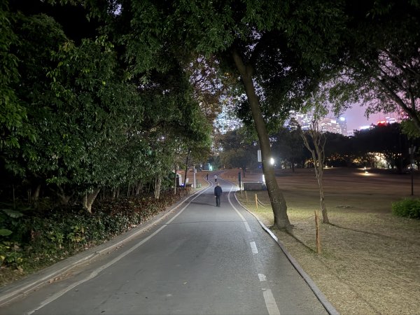 [茂名馬之行-13] 2026_0119 深圳夜景2997041